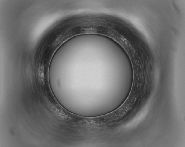 X0000112050194200908181143