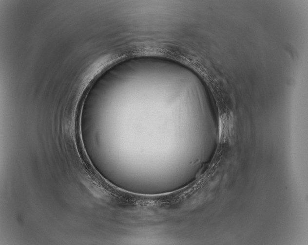 X0000112050195200908181143