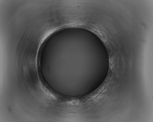 X0000112050196200908181143