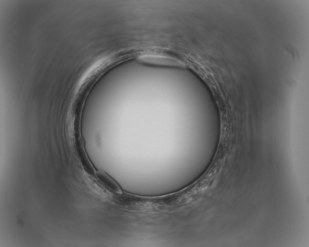 X0000112050197200908181143