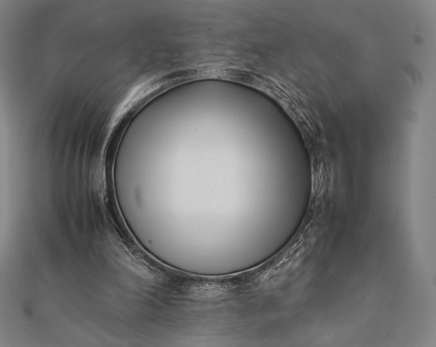 X0000112050198200908181143