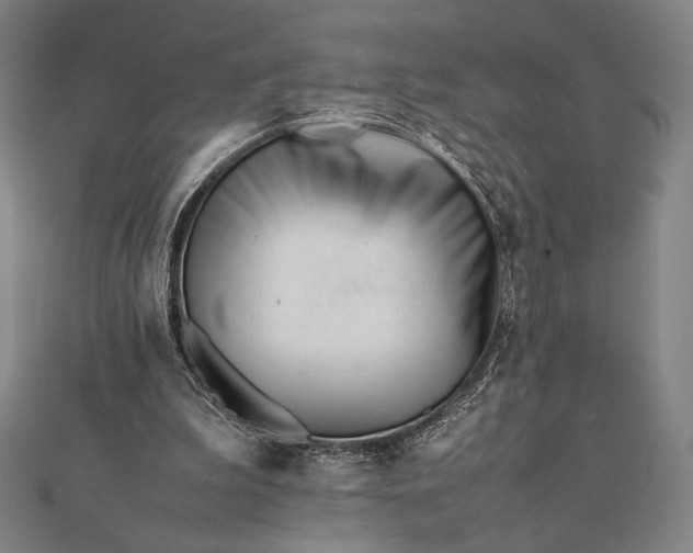 X0000112050199200908181143