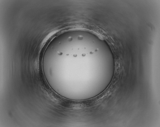 X0000112050200200908181143