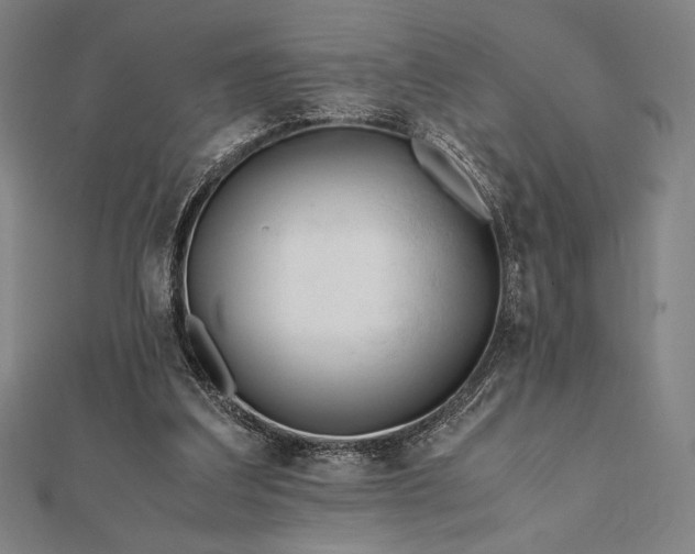 X0000112050203200908181143