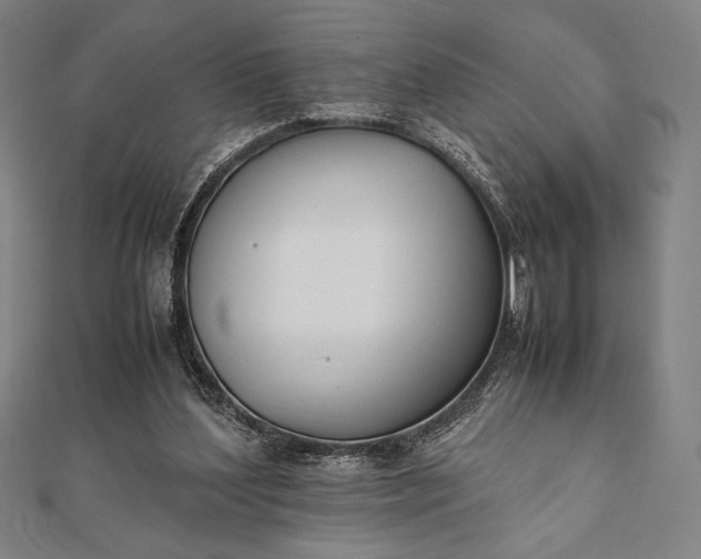 X0000112050204200908181143