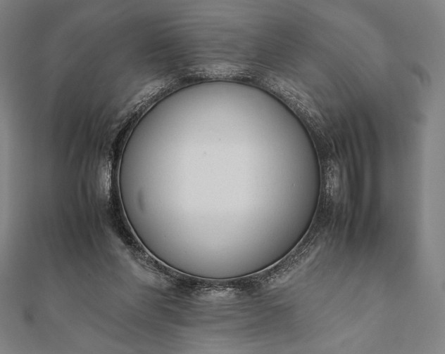 X0000112050206200908181143