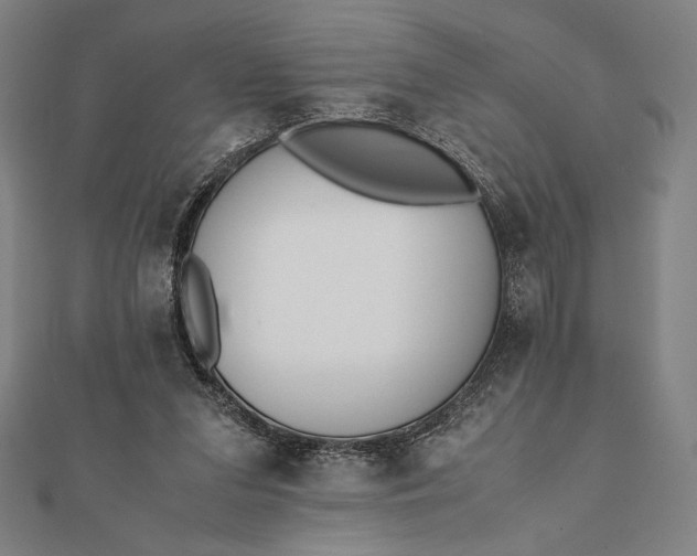 X0000112050207200908181143