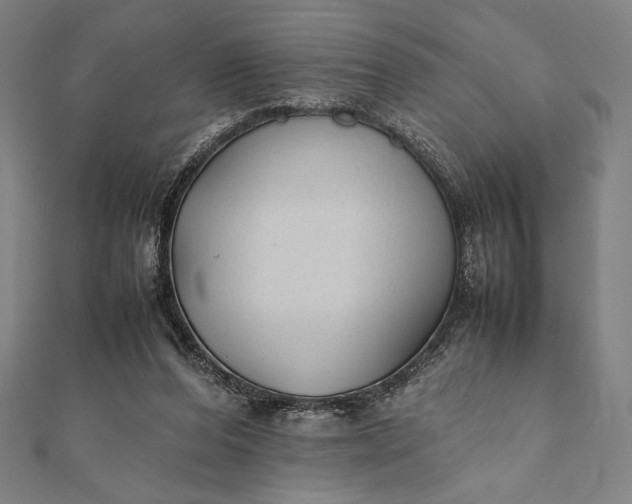 X0000112050208200908181143