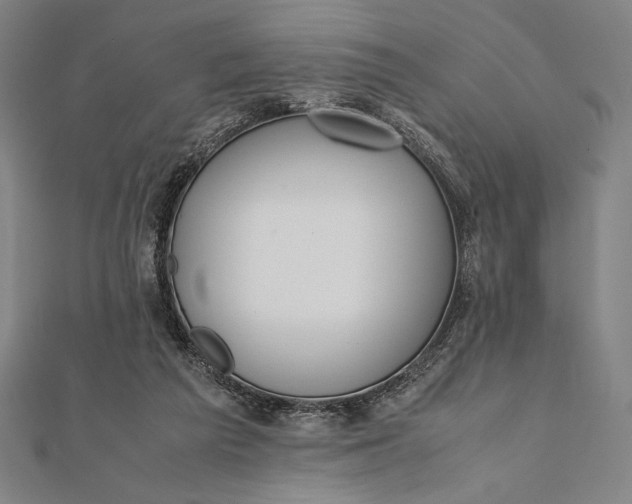 X0000112050209200908181143