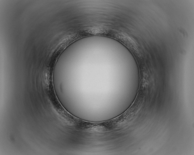 X0000112050210200908181143