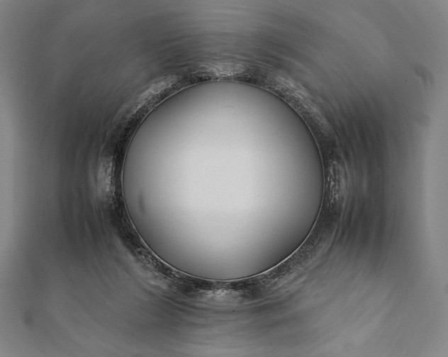 X0000112050212200908181143