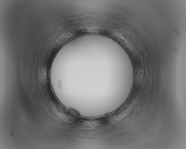 X0000112050213200908181143