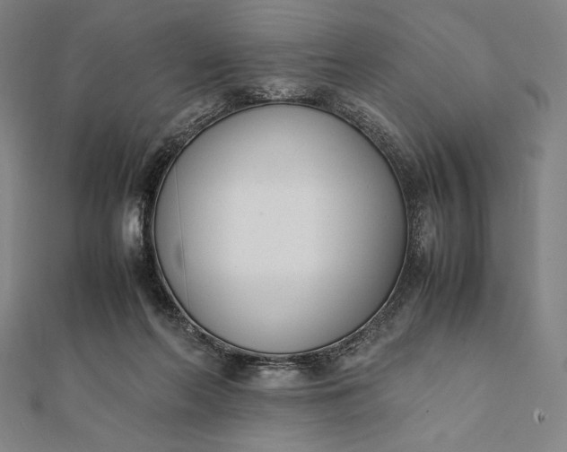 X0000112050214200908181143