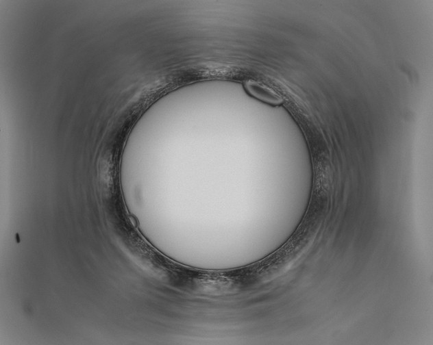 X0000112050215200908181143