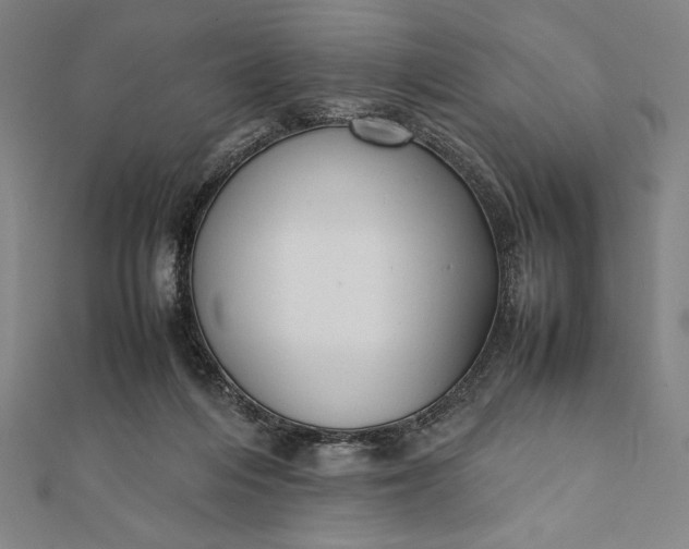 X0000112050216200908181143