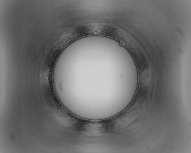 X0000112050217200908181143