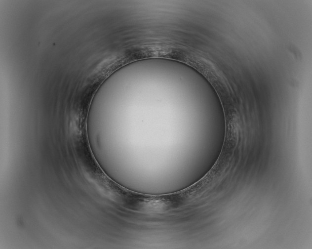 X0000112050218200908181143