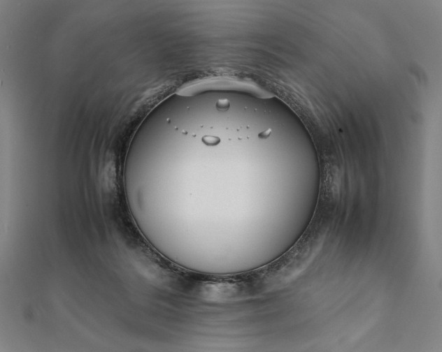 X0000112050220200908181143