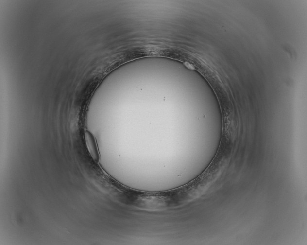 X0000112050221200908181143