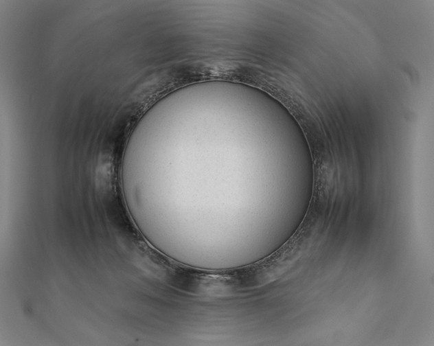 X0000112050222200908181143