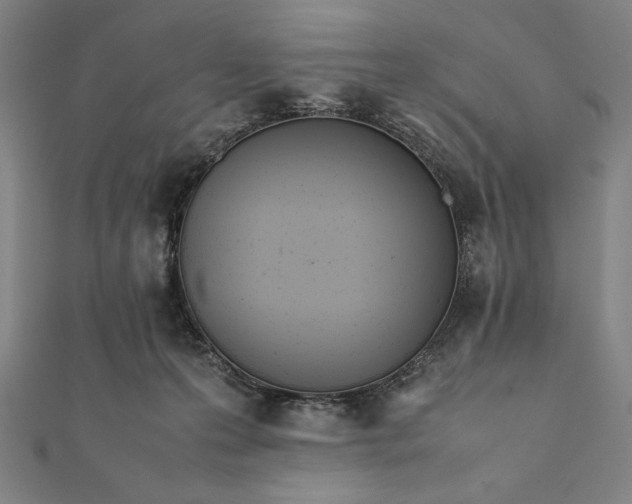 X0000112050223200908181143