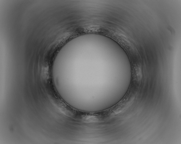 X0000112050224200908181143