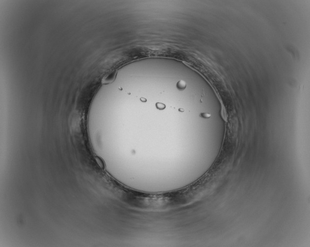 X0000112050225200908181143