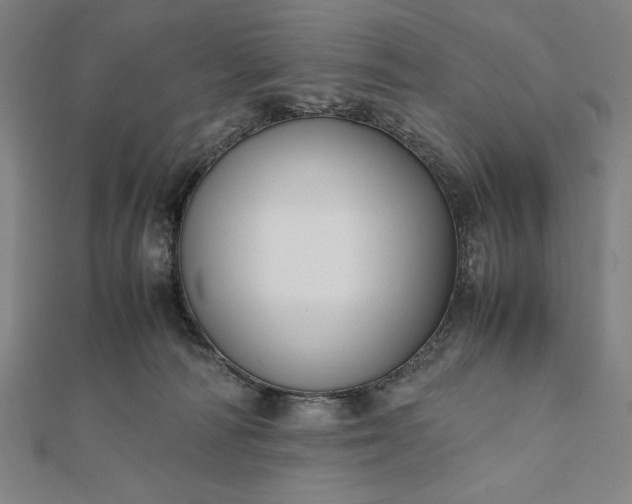 X0000112050226200908181143