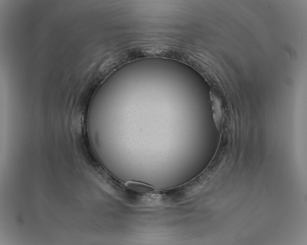 X0000112050227200908181143