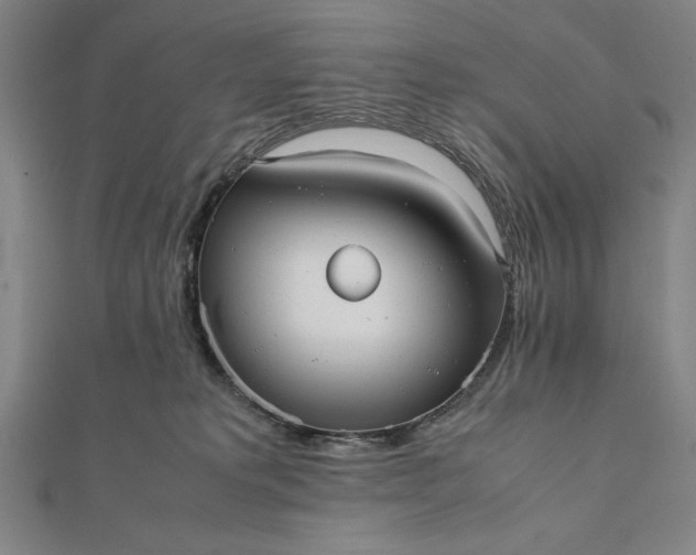 X0000112050229200908181143