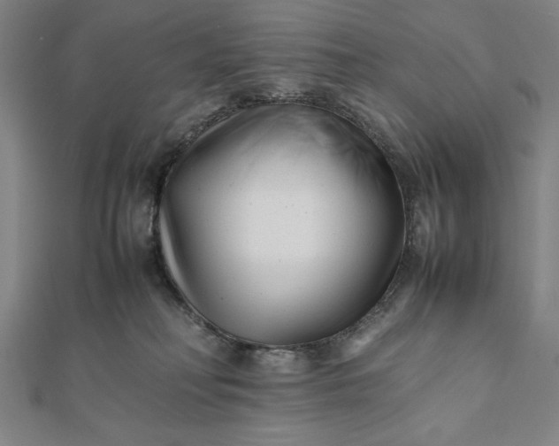 X0000112050230200908181143