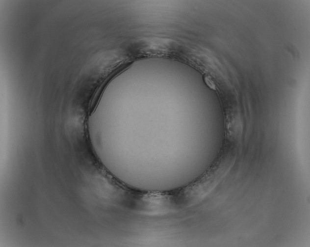 X0000112050231200908181143