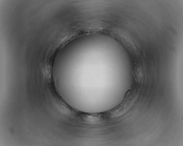 X0000112050232200908181143