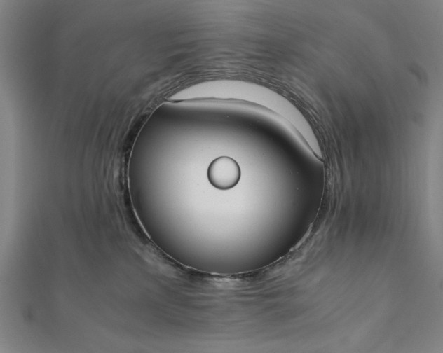 X0000112050233200908181143