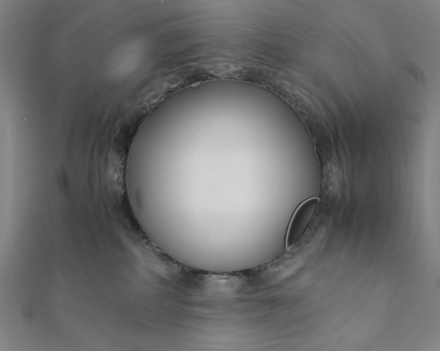 X0000112050234200908181143