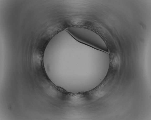 X0000112050235200908181143