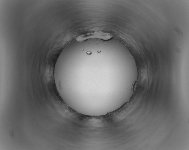 X0000112050236200908181143