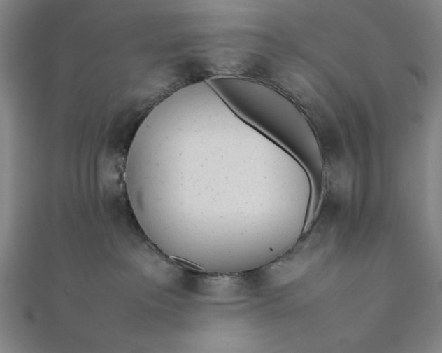 X0000112050237200908181143