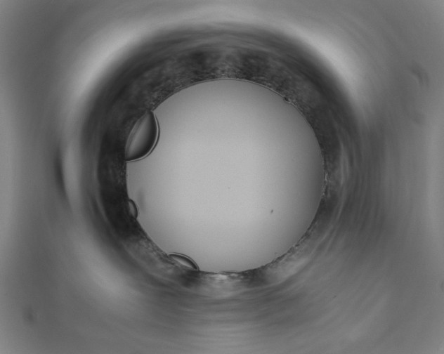 X0000112050239200908181143