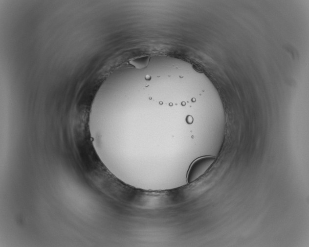 X0000112050240200908181143