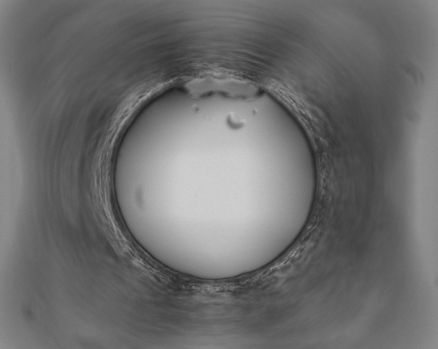 X0000112050241200908181142