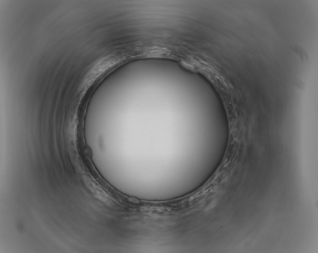 X0000112050242200908181142