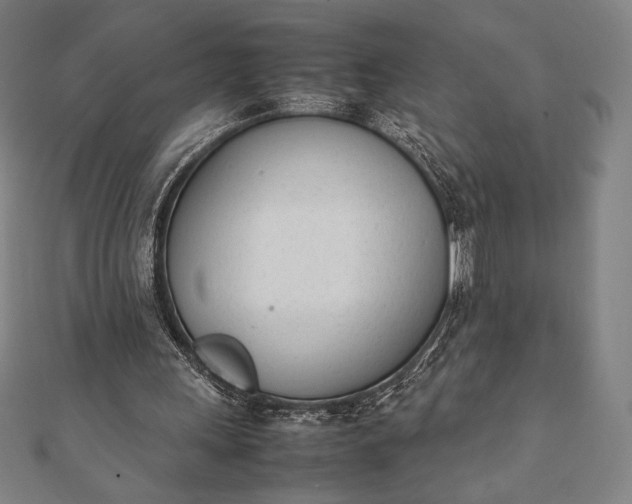 X0000112050243200908181142