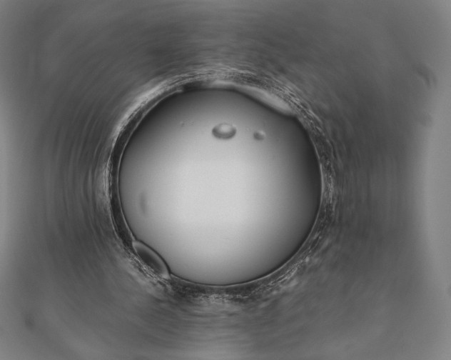 X0000112050244200908181142