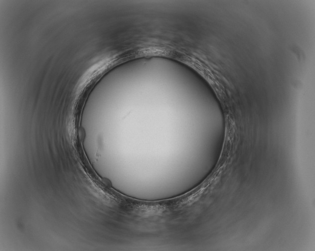 X0000112050245200908181142