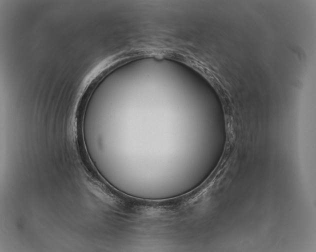 X0000112050246200908181142