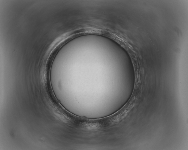 X0000112050247200908181142