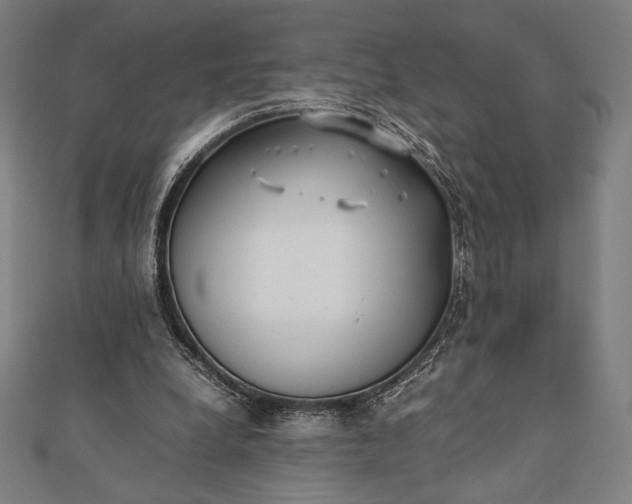 X0000112050248200908181142