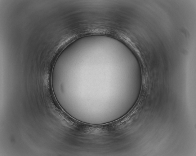 X0000112050249200908181142