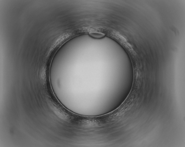 X0000112050250200908181142